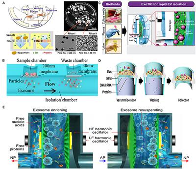 Nanomaterials-Based Urinary Extracellular Vesicles Isolation and Detection for Non-invasive Auxiliary Diagnosis of Prostate Cancer